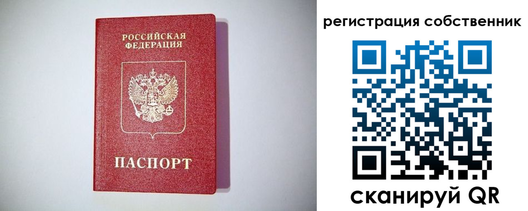 временная регистрация для школы в Заозёрске